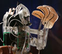 Photo of the robot stickybot.