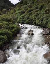 Photo of the Rio Santa Maria, a tributary of the Oyacachi River in Ecuador, after heavy rains.