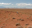 Photo of a person walking in the Great Basin Desert study site.