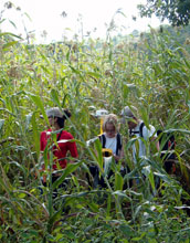 Students conduct very-low-frequency electromagnetic survey in crop field
