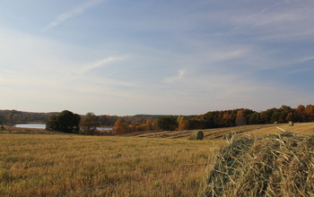 Switchgrass harvest on the field at NSF's Kellogg Biological Station (KBS) LTER site in Michigan.