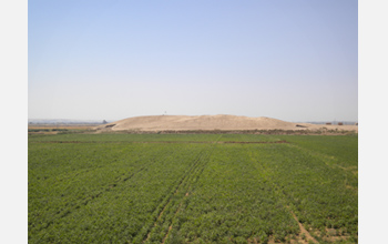 Photo of the Tell Zeidan site in irrigated fields.