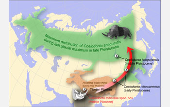 Map of Eurasia showing descent of woolly rhinos in latitude with expansion of cold habitats.