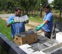 Field technicians with rodent traps in a village