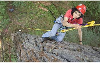 Photo shows Nalini Nadkarni hanging from her canopy access gear.