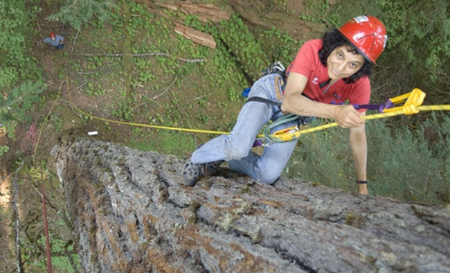 tree_climbing_1_h.jpg