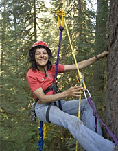 Photo shows Nalini Nadkarni and ropes and pulleys she uses as a canopy researcher.