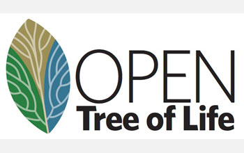 Illustration of a leaf with the words Open Tree of Life.