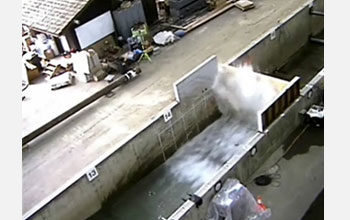 A tsunami generated by a piston wavemaker travels across a flume, breaks and collapses a wall.
