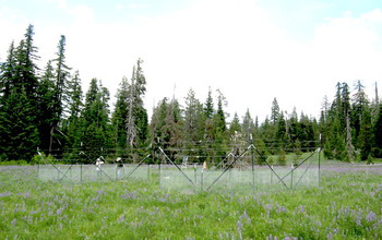 Scientists working in a fenced area near the NSF H.J. Andrews LTER site in Oregon.