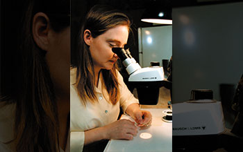 Graduate student Tiffanie Markus uses a microscope to fabricate tiny electrodes
