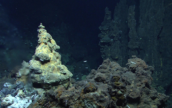 various rock formations on the bottom of the ocean floor