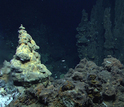 various rock formations on the bottom of the ocean floor