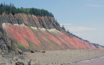 Photo of rocks in a mountenous ancient extinction research site in Nova Scotia.