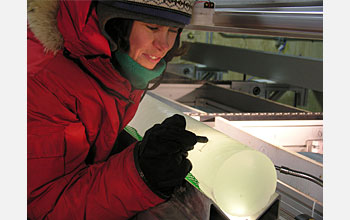 Photo of Rebecca Anderson of the Desert Research Institute examining an ice core section
