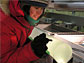 Photo of Rebecca Anderson of the Desert Research Institute examining an ice core section