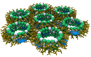 Illustration of new class of synthetic antimicrobials.