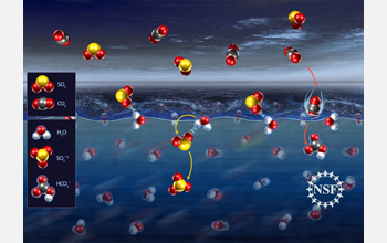 Illustration of sulfur dioxide molecules forming weak bonds with water molecules.