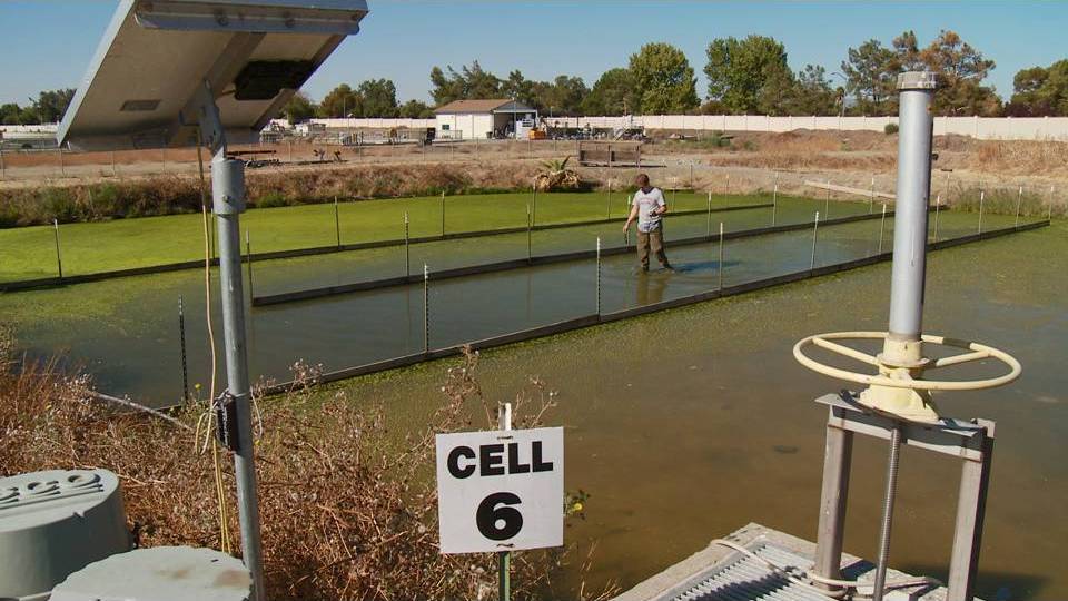 a wetland testbed where ERC research will see how natural and engineered systems interact.