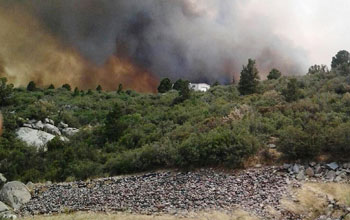 Photo of wildfire next to a house and forest in Arizona