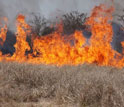 Image of a wildlifire fueled by cheatgrass