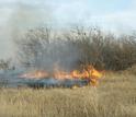 Fire burning in a dry field