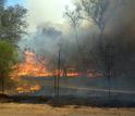 Fire burning in a protected area