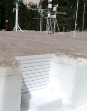 Twelve dust layers on snow in a study plot in Colorado's Senator Beck Basin Study Area.