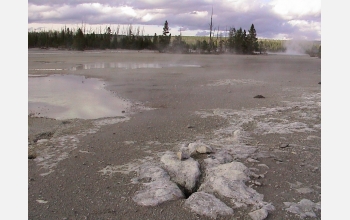 Norris Geyser Basin.