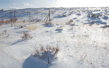 Snow covered East Blacktail Deer Creek