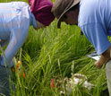 Photo of Cara Harwood and Josh Miller investigating an elk skull in Yellowstone.