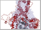 proteins binding