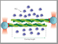 actin filaments attached to gelsolin-coated beads