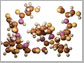 Amylin molecule