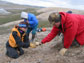 collecting ancient sharks teeth on Banks Island