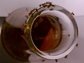 flies on the rim of a beer bottle