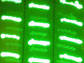 DNA sequences for genetic engineering