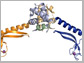 drug-resistant biofilms