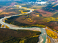 Alaska's boreal forest