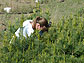 News thumbnail, researcher, plants