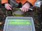 a juvenile Chinook salmon’s stomach is flushed