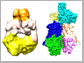 bacterial phytochrome dimer