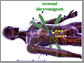 therapy focused to deep tumor