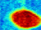 simulation showing thermal fluctuations