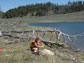 a researcher maps a carcass near a lake