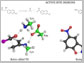 active sites of new enzymes