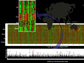 genetic mapping