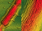 graphene sheet draped over a Bacillus bacterium