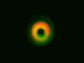 disk around HD142527 observed by ALMA