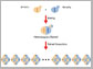 researchers mated two yeast strains